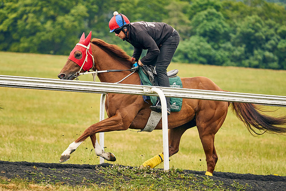 2022-07-01-Dominic-James-3657