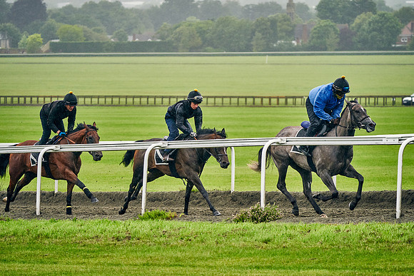 2021-07-06-Dominic-James-2262