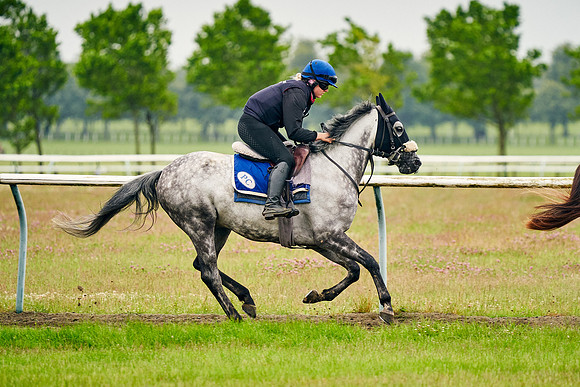 2021-07-06-Dominic-James-4003