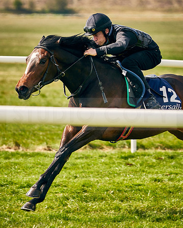 2021-04-12-Dominic-James-Craven-Breeze-Up-Sales-INSTA-1490