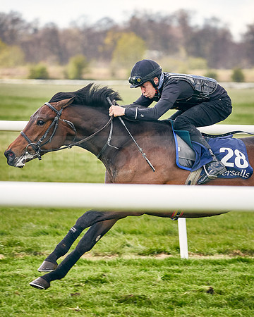 2021-04-12-Dominic-James-Craven-Breeze-Up-Sales-INSTA-1478