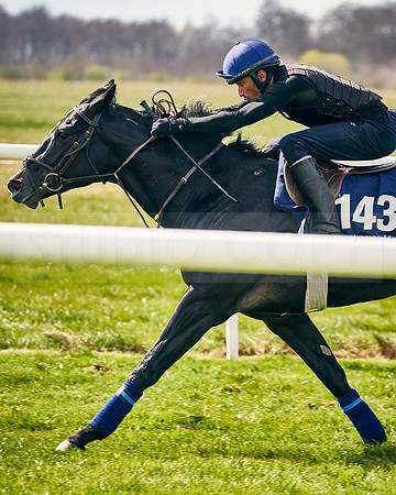 2021-04-12-Dominic-James-Craven-Breeze-Up-Sales-INSTA-1489