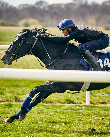 2021-04-12-Dominic-James-Craven-Breeze-Up-Sales-INSTA-1488