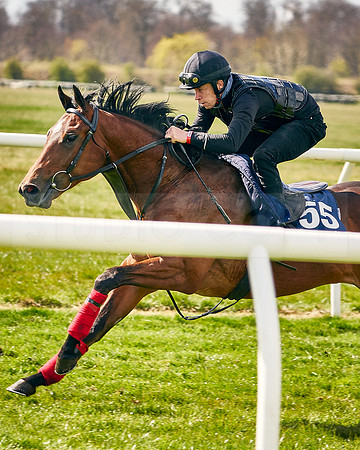2021-04-12-Dominic-James-Craven-Breeze-Up-Sales-INSTA-1493
