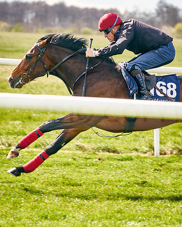 2021-04-12-Dominic-James-Craven-Breeze-Up-Sales-INSTA-1497