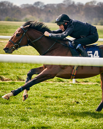 2021-04-12-Dominic-James-Craven-Breeze-Up-Sales-INSTA-1484