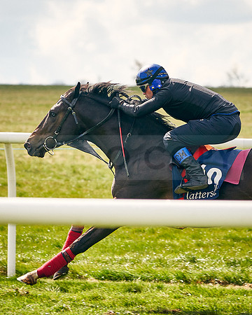 2021-04-12-Dominic-James-Craven-Breeze-Up-Sales-INSTA-1480