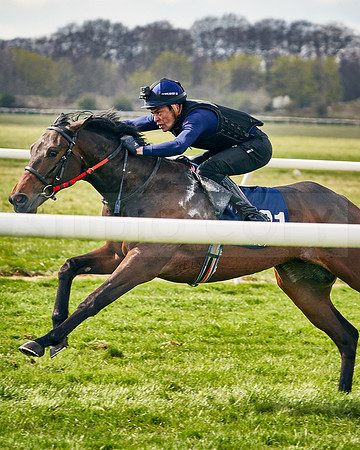 2021-04-12-Dominic-James-Craven-Breeze-Up-Sales-INSTA-1486