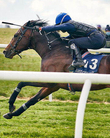 2021-04-12-Dominic-James-Craven-Breeze-Up-Sales-INSTA-1482
