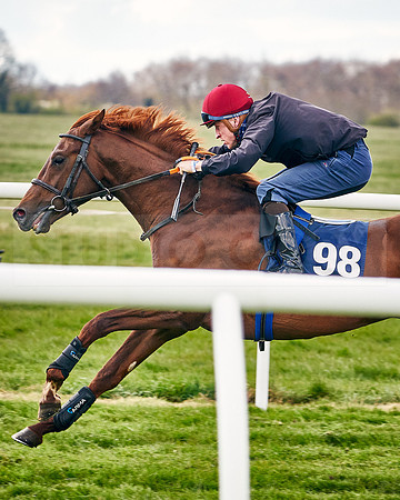 2021-04-12-Dominic-James-Craven-Breeze-Up-Sales-INSTA-1477