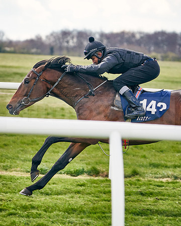 2021-04-12-Dominic-James-Craven-Breeze-Up-Sales-INSTA-1492