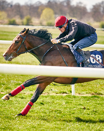 2021-04-12-Dominic-James-Craven-Breeze-Up-Sales-INSTA-1496