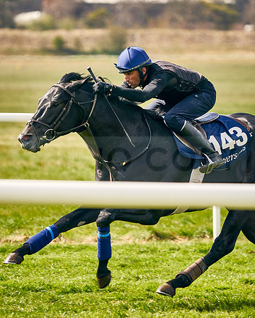 2021-04-12-Dominic-James-Craven-Breeze-Up-Sales-INSTA-1487