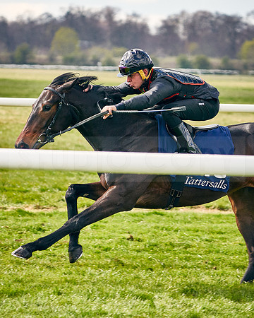 2021-04-12-Dominic-James-Craven-Breeze-Up-Sales-INSTA-1485