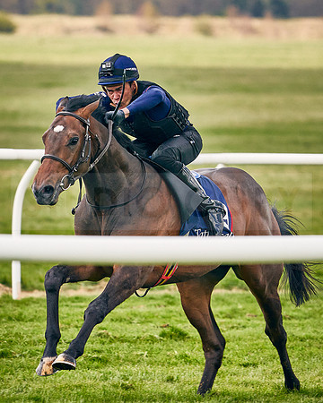 2021-04-12-Dominic-James-Craven-Breeze-Up-Sales-INSTA-1479