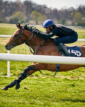 2021-04-12-Dominic-James-Craven-Breeze-Up-Sales-INSTA-1491