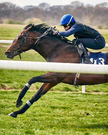 2021-04-12-Dominic-James-Craven-Breeze-Up-Sales-INSTA-1481