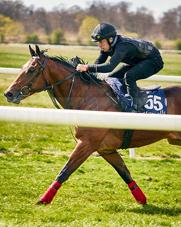 2021-04-12-Dominic-James-Craven-Breeze-Up-Sales-INSTA-1495