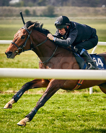2021-04-12-Dominic-James-Craven-Breeze-Up-Sales-INSTA-1483