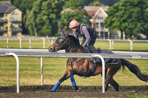 30th-June-Dominic-James-5730