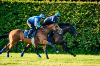 1st June 22 Limekilns 002