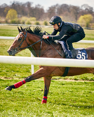 2021-04-12-Dominic-James-Craven-Breeze-Up-Sales-INSTA-1494