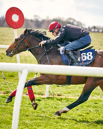2021-04-12-Dominic-James-Craven-Breeze-Up-Sales-INSTA-1498