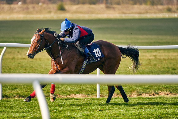 2021-04-12-Dominic-James-Craven-Breeze-Up-Sales-0211