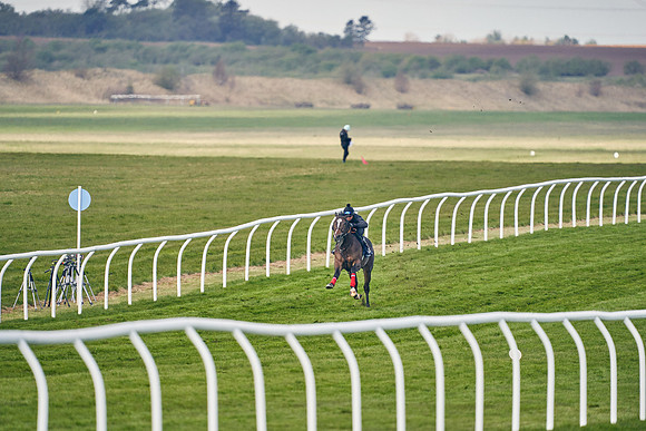 2021-04-12-Dominic-James-Craven-Breeze-Up-Sales-0217
