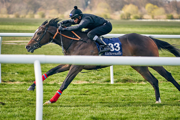 2021-04-12-Dominic-James-Craven-Breeze-Up-Sales-0220