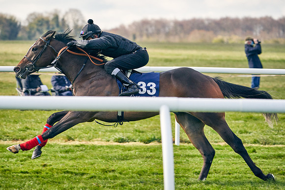 2021-04-12-Dominic-James-Craven-Breeze-Up-Sales-0223