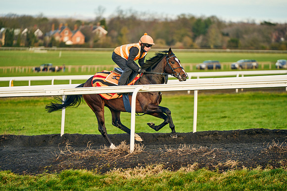 2022-02-01-Dominic-James-4986