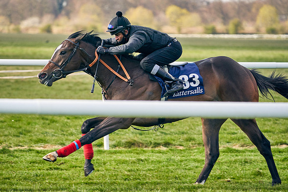 2021-04-12-Dominic-James-Craven-Breeze-Up-Sales-0219