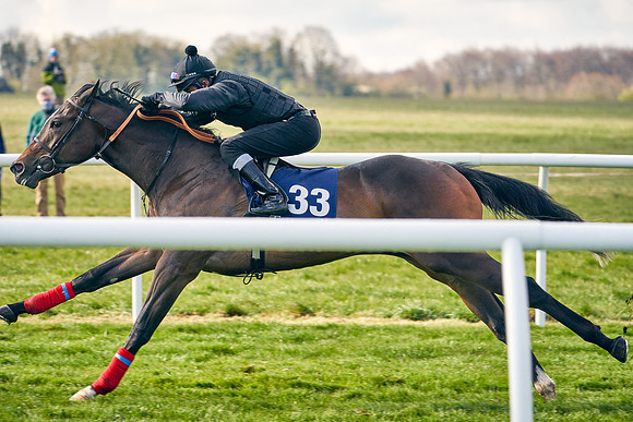 2021-04-12-Dominic-James-Craven-Breeze-Up-Sales-0224