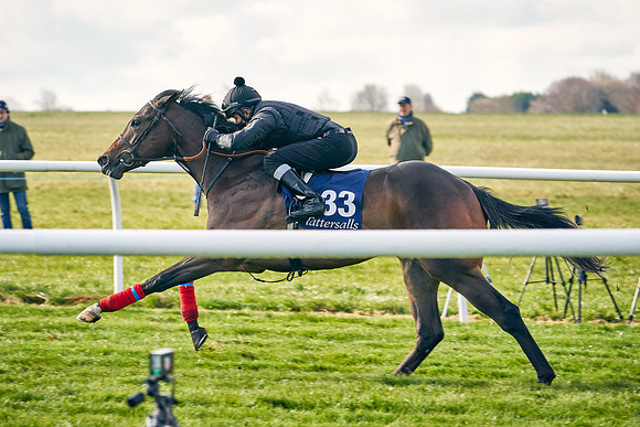 2021-04-12-Dominic-James-Craven-Breeze-Up-Sales-0226