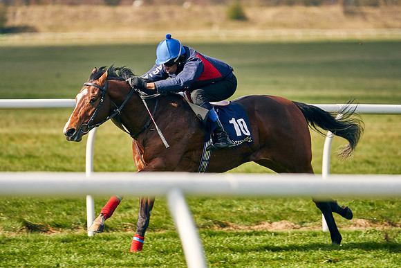 2021-04-12-Dominic-James-Craven-Breeze-Up-Sales-0212