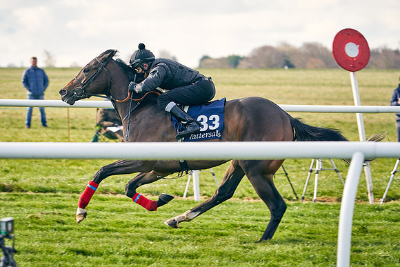 2021-04-12-Dominic-James-Craven-Breeze-Up-Sales-0225