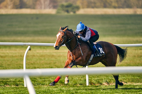 2021-04-12-Dominic-James-Craven-Breeze-Up-Sales-0210