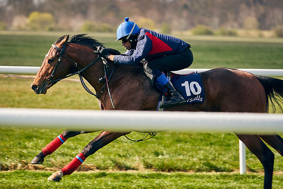 2021-04-12-Dominic-James-Craven-Breeze-Up-Sales-0215