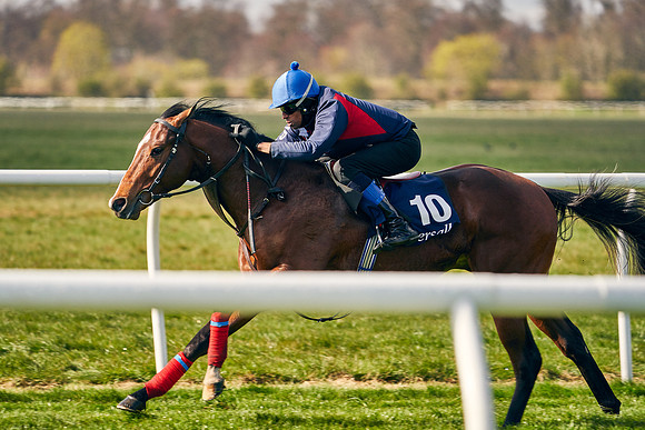 2021-04-12-Dominic-James-Craven-Breeze-Up-Sales-0214