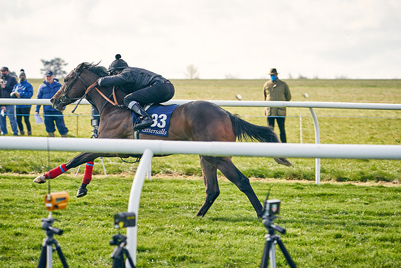 2021-04-12-Dominic-James-Craven-Breeze-Up-Sales-0228