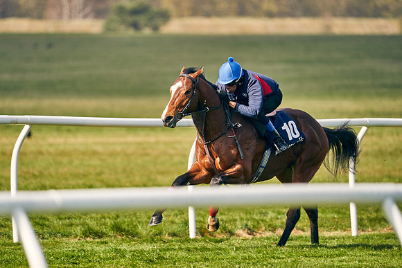 2021-04-12-Dominic-James-Craven-Breeze-Up-Sales-0209