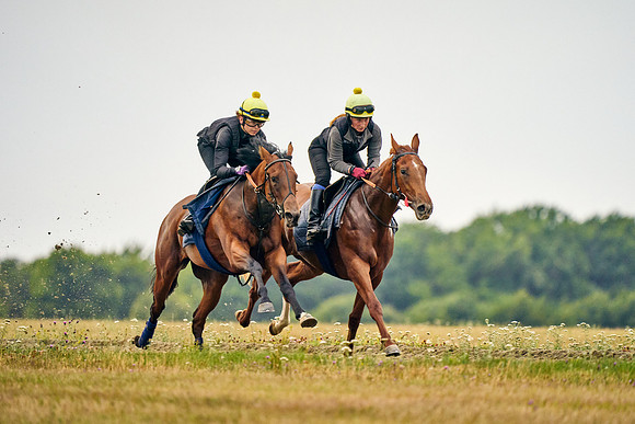 2022-07-23-DominicJames-0628