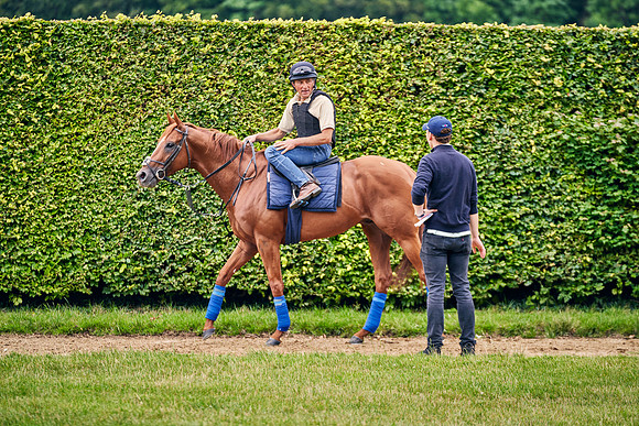 2021-08-07-Dominic-James-3294