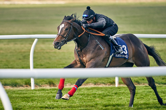 2021-04-12-Dominic-James-Craven-Breeze-Up-Sales-0218