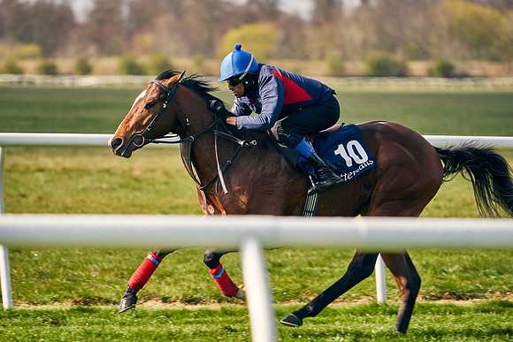 2021-04-12-Dominic-James-Craven-Breeze-Up-Sales-0213