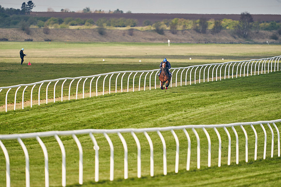 2021-04-12-Dominic-James-Craven-Breeze-Up-Sales-0207