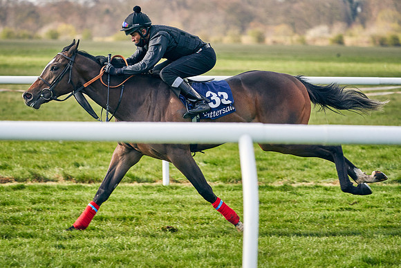 2021-04-12-Dominic-James-Craven-Breeze-Up-Sales-0221