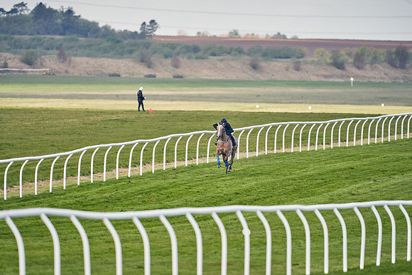 2021-04-12-Dominic-James-Craven-Breeze-Up-Sales-0229