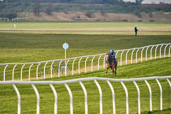 2021-04-12-Dominic-James-Craven-Breeze-Up-Sales-0208